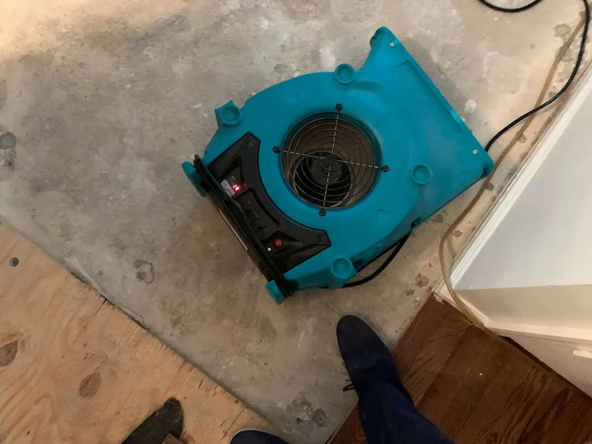 Air mover drying subfloor during Leak Detection & Repair in Nederland